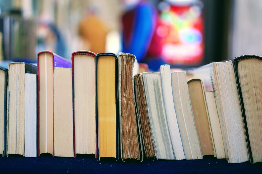 A dozen books lined up back to back.